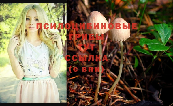трава Беломорск