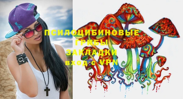 Альфа ПВП Белокуриха