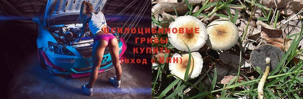 Альфа ПВП Белокуриха