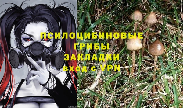 трава Беломорск